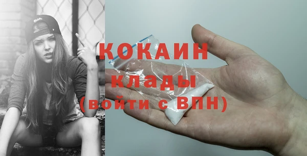 стаф Белокуриха