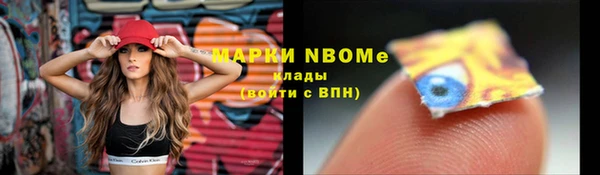 стаф Белокуриха