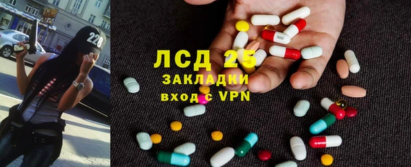 стаф Белокуриха