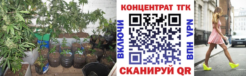 ТГК концентрат  Козьмодемьянск 