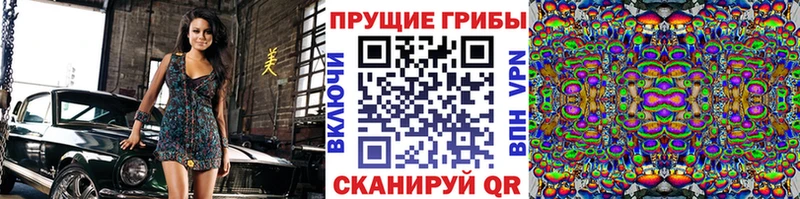 Псилоцибиновые грибы Psilocybe  Козьмодемьянск 